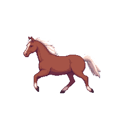 Wild Hooves
