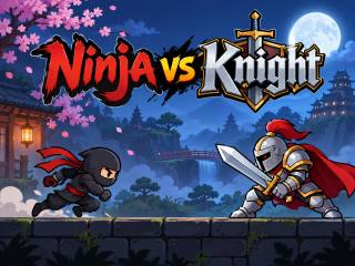 Ninja vs Knight