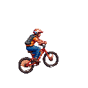 Desert Wash Biker